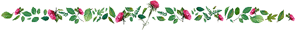 hruler03.gif (12036 ֽ)